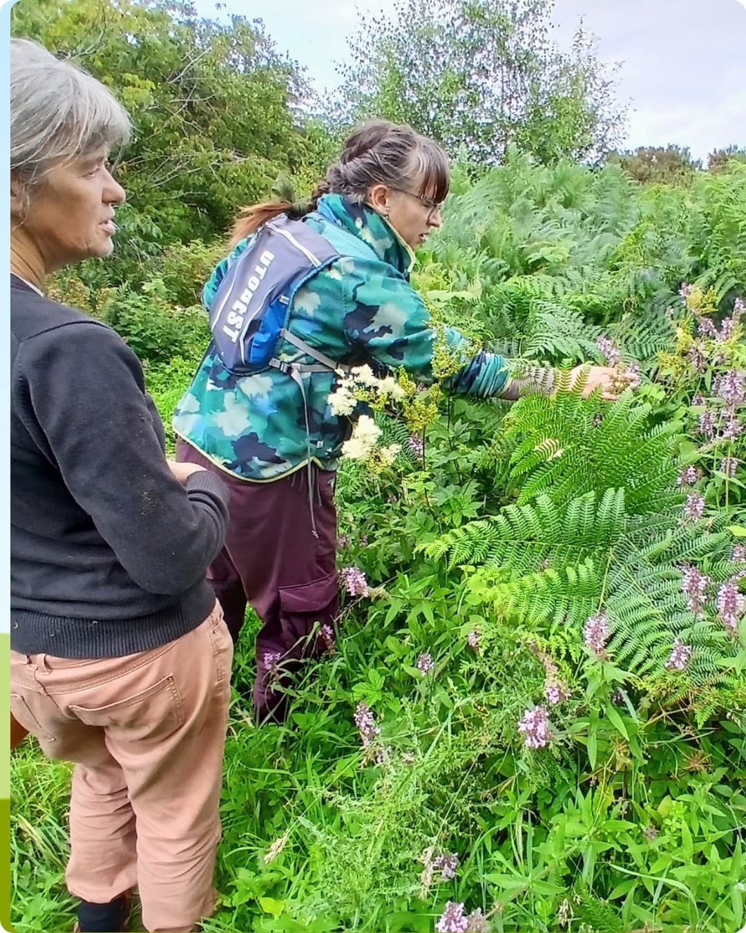 Midlothian Wildflowers volunteers exploring plants and fungi in a green community habitat